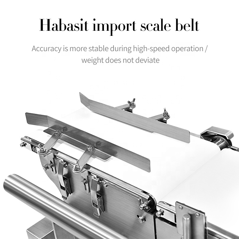 Máquina controladora de peso con transportador automático de alta velocidad